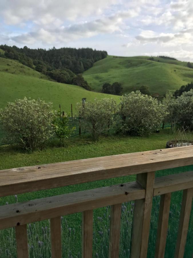 Tui Cottage Te Arai Kültér fotó